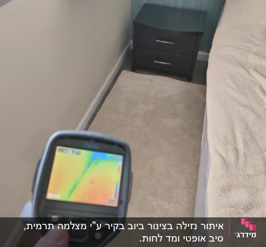 מד חום תרמי מציג אזור צבעוני על שטיח
